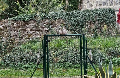 Servas House | Le temps d'une pause ! Petit-déjeuner inclus !
