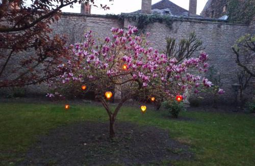 Sedan House | Le temps suspendu