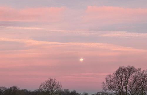 Floyon Bed & Breakfast | Le Terrier du sorcier