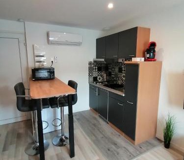 Tonneins Apartment | Le Vélo Vintage, Beau 2 pièces centre ville