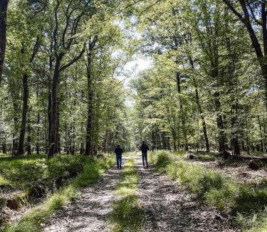 Vendeuvre-sur-Barse House | Le Val Suzenay