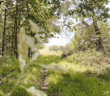 Vendeuvre-sur-Barse House | Le Val Suzenay