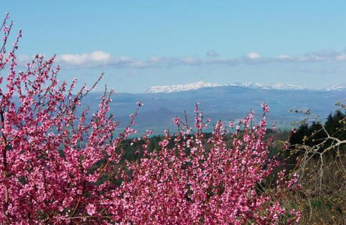 Auzon Communaute Bed & Breakfast | Le Vallon d'Armandine, éco-hébergement Auvergne