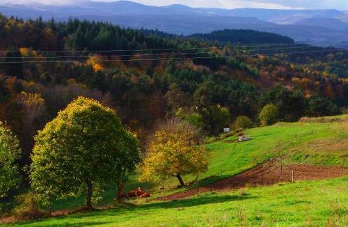 Auzon Communaute Bed & Breakfast | Le Vallon d'Armandine, éco-hébergement Auvergne