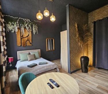 Henin-Beaumont Apartment | Le Velvet