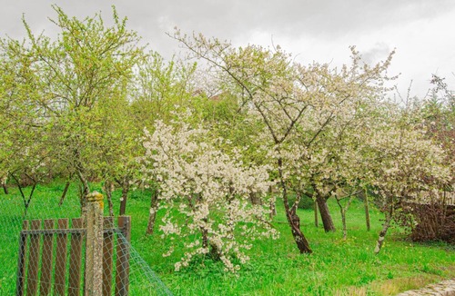 Clerey House | Le Verger de Lulu - CLEREY