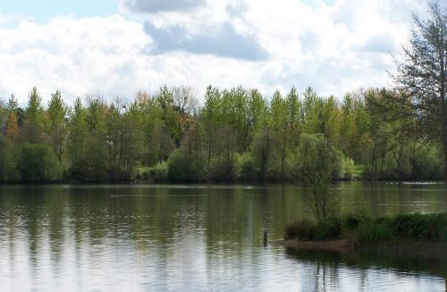 Evran House | Le Vieux Chien Noir