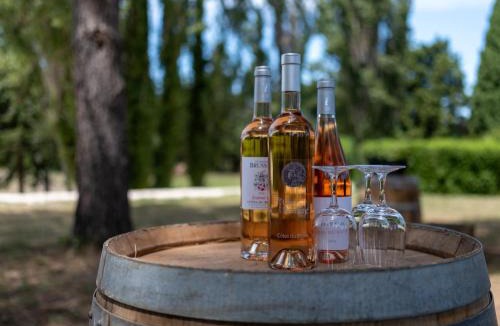 Cairanne House | Le Vieux Platane