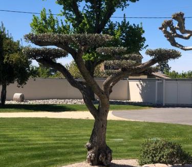 Malissard House | Le Vieux Platane