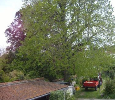 Fere-en-Tardenois House | Le vieux tilleul