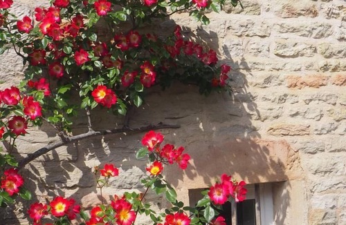 Davaye House | Le Vitrail - DAVAYE - Gîte