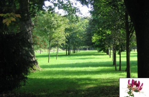 Hecq House | Le Vivreuil