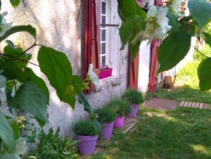 Perreuse House | Le vol du Papillon