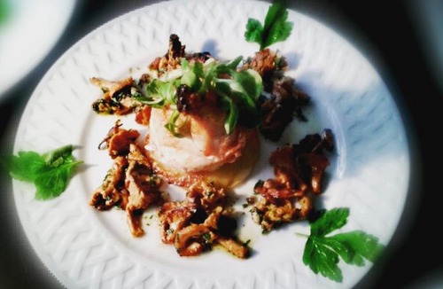 Perreuse House | Le vol du Papillon