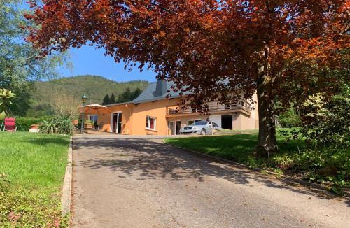 Dambach House | Le Wineck