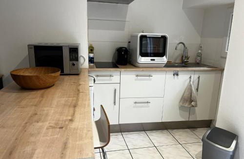 Mont-de-Marsan Apartment | Le Wlerick - Centre ville - Terrasse