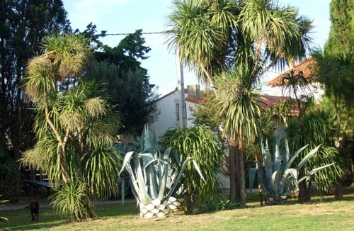 Alenya House | Le yucca - ALENYA - Gîte