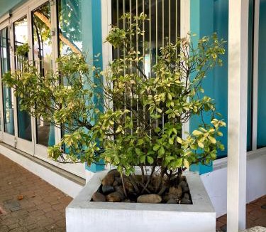 Mont-de-Marsan Hotel | LE ZANCHETTIN