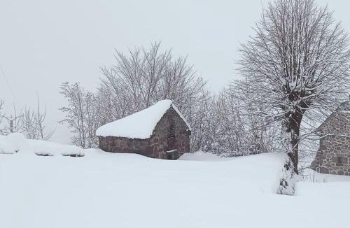 Saint-Projet-de-Salers House | Le Zen Altitude