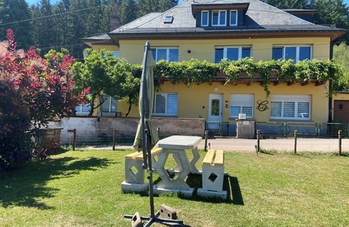 Saulxures Apartment | LeCLARA Vacation Rental in the Mountains: pool table, hot tub, sauna. pets welcome