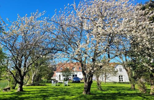 Tranekaer Apartment | Lejbølle Gamle Bageri