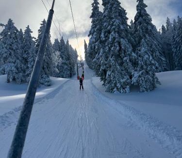 Lelex Apartment | Lelexine