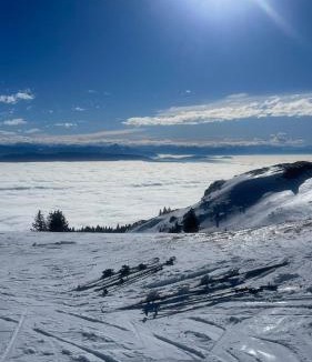 Lelex Apartment | Lelexine