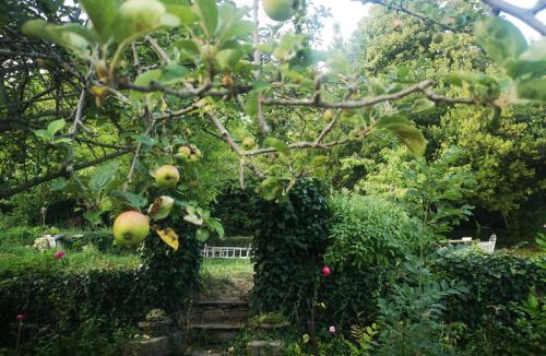 Saint-Pons-de-Thomieres House | Lelieu Source, une chambre au jardin