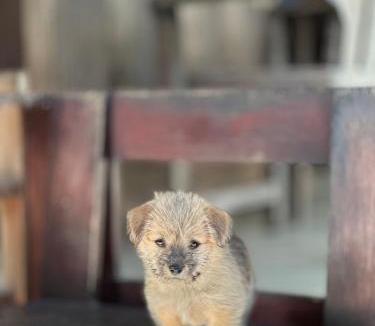 Mushroom Bay Hostel | Lembongan Hostel