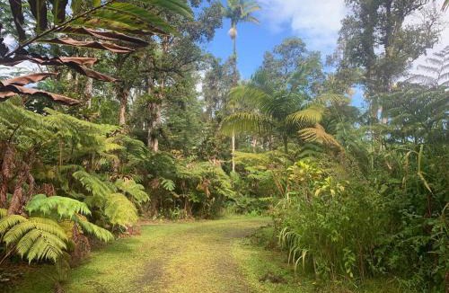 Mountain View Apartment | Lemon Tree Lanai