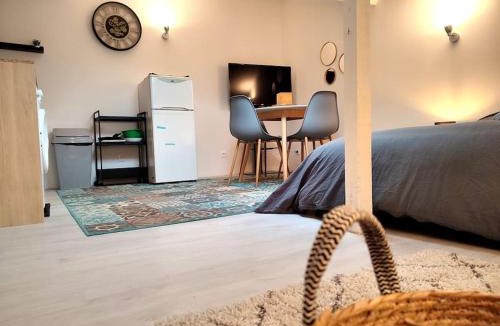 Epinal Apartment | Leopold Room 30m2 Hyper centre, Netflix & Wi-fi