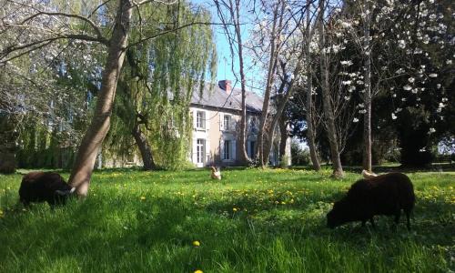 Vouneuil-sur-Vienne House | LePireauFr Gîtes Piscine chauffée