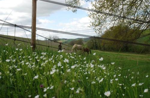 Riguepeu House | Les Écrehous