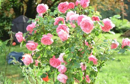 Saint-Jory-de-Chalais Bed & Breakfast | LES 2 CHENES