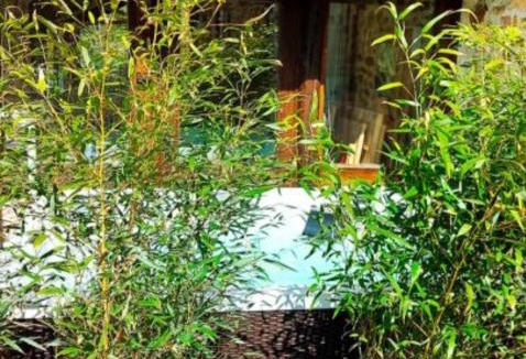 Anjouin Bed & Breakfast | Les 3 Roses