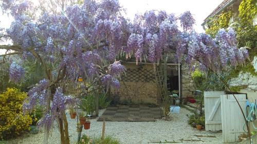 Chaumot Bed & Breakfast | Les 3 roses