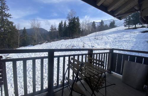 Prapoutel Apartment | les 7 laux immobilier chalet E
