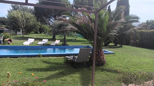 Entraigues-sur-la-Sorgue Apartment | Les Acacias 84320