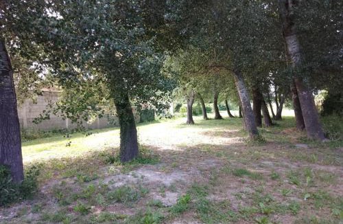 Entraigues-sur-la-Sorgue Apartment | Les Acacias 84320