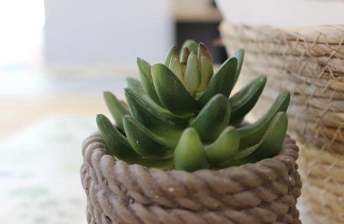 Besancon Bed & Breakfast | Les AGRIATES