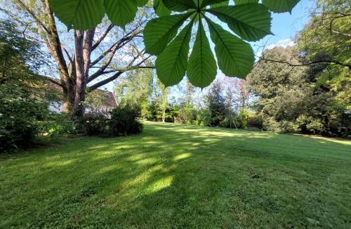 Le Mazeau Bed & Breakfast | les allées du château