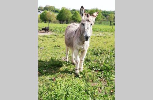 Leschelle House | les alouettes