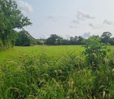 Saint-Georges-d'Elle House | Les Antiers