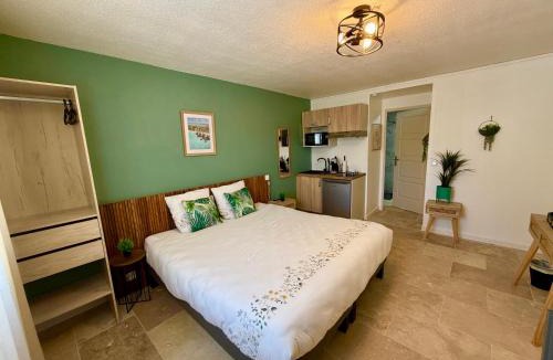 Saint-Laurent-d'Aigouze Apartment | Les Appartements du Mas - Studio Amazonite