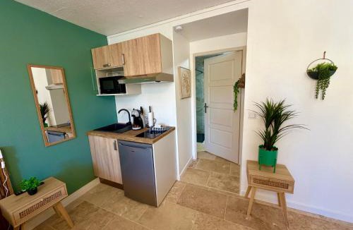 Saint-Laurent-d'Aigouze Apartment | Les Appartements du Mas - Studio Amazonite
