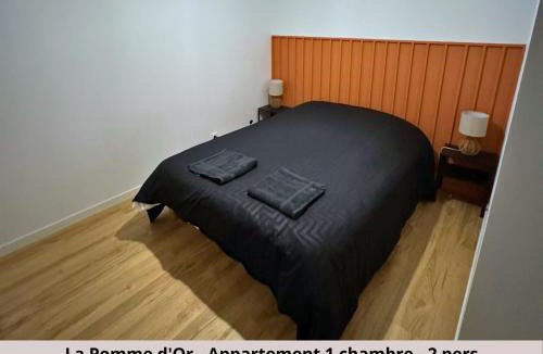 Saint-Quentin Apartment | Les Appartements de la Pomme Rouge
