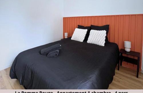 Saint-Quentin Apartment | Les Appartements de la Pomme Rouge