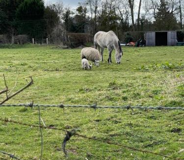 Genneville Apartment | Les Apparts