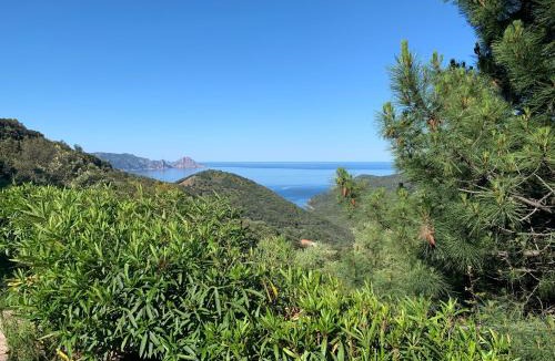 Partinello Apartment | Les Asphodèles