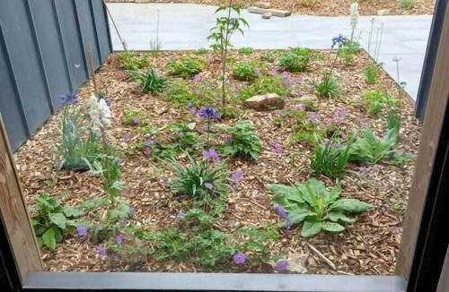 Muzillac House | Les Asphodèles - Muzillac